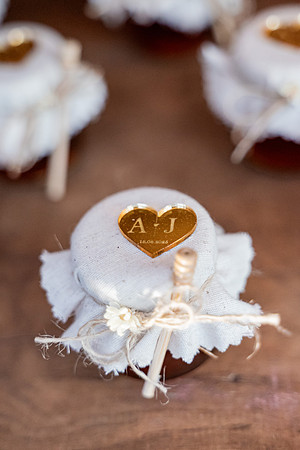 0093 - Ana Paula e João - Casamento - DF4_4241