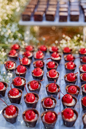 0103 - Ana Paula e João - Casamento - DF4_4248