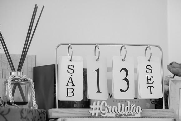 0039 - Nathalia e Thales - Casamento - DF4_5983