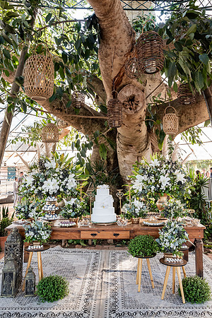 0094 - Nathalia e Thales - Casamento - DF4_6090