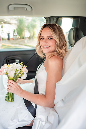 0156 - Vitória e André - Casamento - DF3_8087