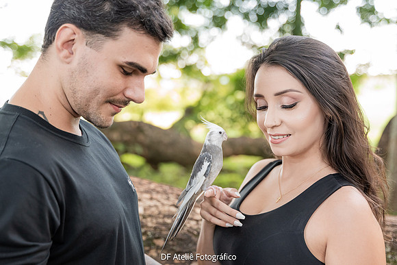 0011 - Caroline e Lucas - Pre Wedding - DF4_9546