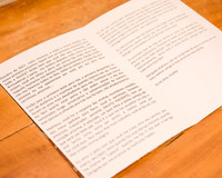 0005 - Alessandra e Matheus - Casamento - DF2_5590