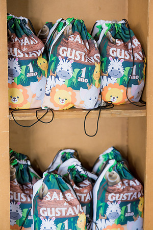 0030 - Gustavo - 1 Ano - DF2_5649