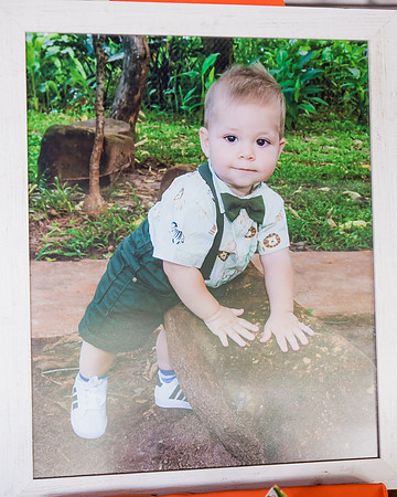 0031 - Gustavo - 1 Ano - DF2_5650