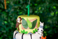 0015 - Gustavo - 1 Ano - DF2_5637