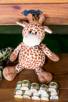 0014 - Gustavo - 1 Ano - DF2_5636