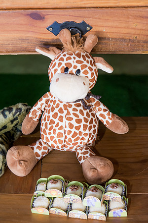 0014 - Gustavo - 1 Ano - DF2_5636