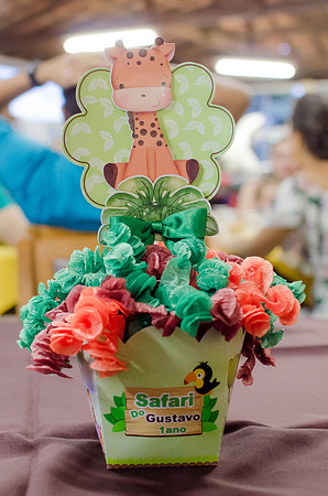 0163 - Gustavo - 1 Ano - DF1_7622
