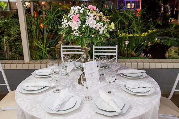0354 - Alessandra e Carlos - Casamento - DF2_4277
