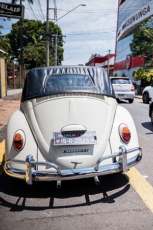 0033 - Carol e Douglas - Casamento - DF3_0470