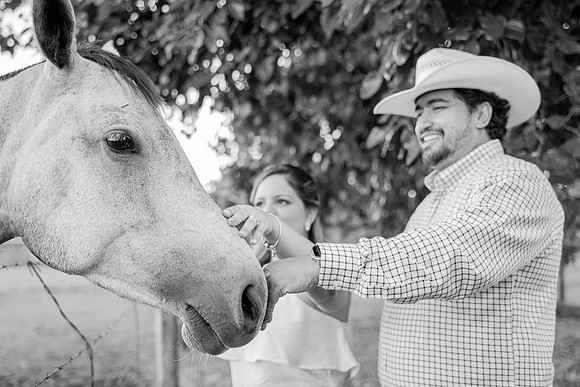 0155 - Renata e Felipe - Pré-Wedding - DF4_8440