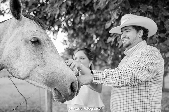 0155 - Renata e Felipe - Pré-Wedding - DF4_8440