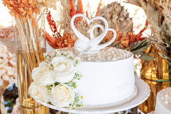 0028 - Kênia e Reinaldo - Casamento - DF4_1116