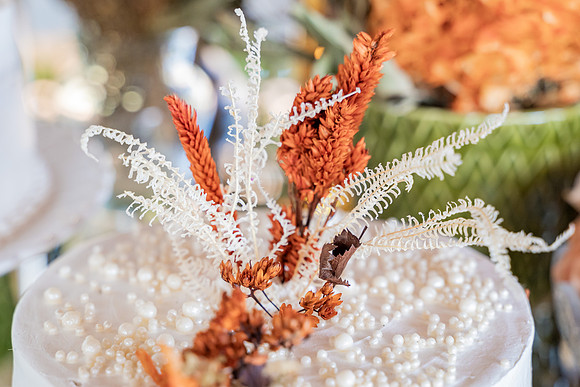 0033 - Kênia e Reinaldo - Casamento - DF4_1122