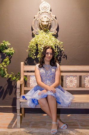 0043 - Ana Gabriela - 15 Anos - DF1_2746