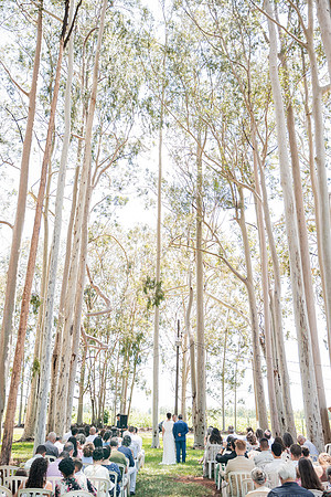 0095 - Vanessa e Ubiratã - Casamento - DF4_2976
