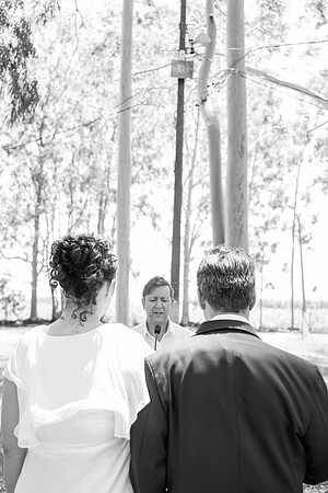 0099 - Vanessa e Ubiratã - Casamento - DF4_2985