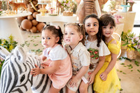 0003 - Cecília Lima - 3 anos - DF4_3719