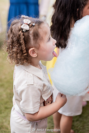 0082 - Cecília Lima - 3 anos - DF4_3841