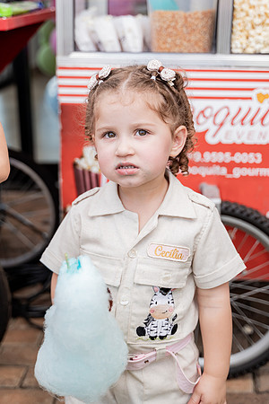 0091 - Cecília Lima - 3 anos - DF4_3859