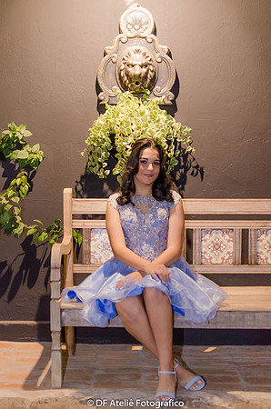 0043 - Ana Gabriela - 15 Anos - DF1_2746
