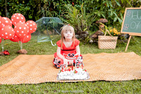 0005 - Helena Comin - Ensaio 7 anos - DF4_6201