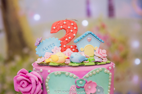 0001 - Alice 2 Anos - DF2_1623