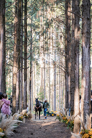 0225 - Isadora e Lucas - Casamento - DF7_2928