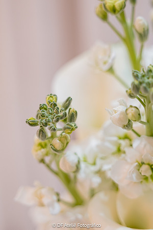 0050 - Carla e Eduardo - Casamento - DF7_3427