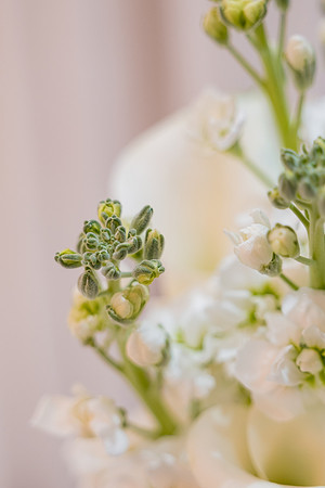 0050 - Carla e Eduardo - Casamento - DF7_3427