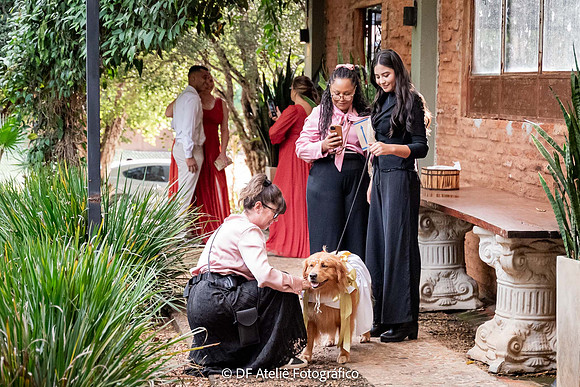 0100 - Débora e Leandro - Casamento - DF3_1233