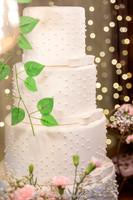 0004 - Claudilene e Guilherme - Casamento - DF4_3809