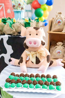 0012 - Lucas Minello - 1 ano - DF4_6536