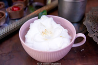 0008 - Rafaela e Anderson - Casamento - DF2_9596