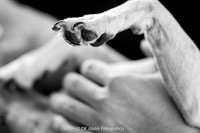 0014 - Simone e Gabriel - Pré-Wedding - DF6_5522