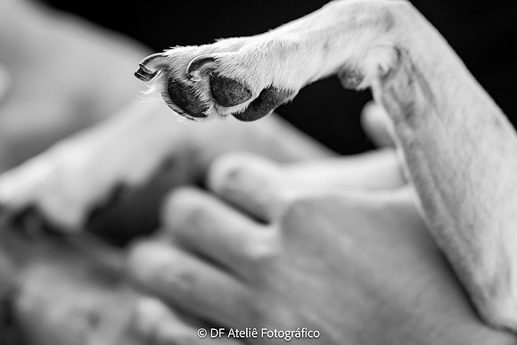 0014 - Simone e Gabriel - Pré-Wedding - DF6_5522