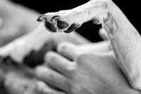 0014 - Simone e Gabriel - Pré-Wedding - DF6_5522