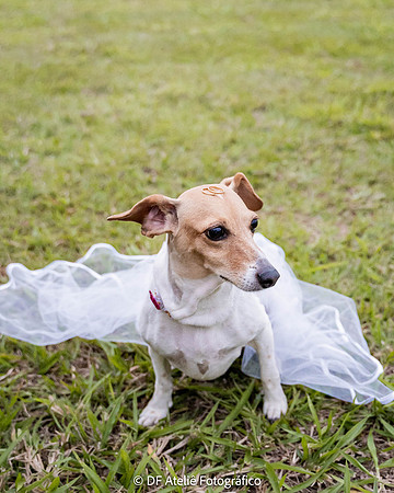 0203 - Simone e Gabriel - Pré-Wedding - DF7_5781