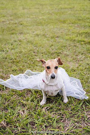 0206 - Simone e Gabriel - Pré-Wedding - DF7_5788