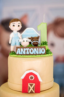 0006 - Antônio Rissato - 1 ano - DF7_1205