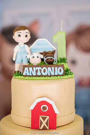 0006 - Antônio Rissato - 1 ano - DF7_1205