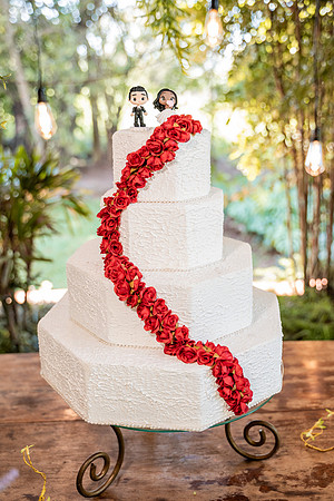 0497 - Milena e Welison - Casamento - DF7_5217