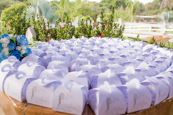0045 - Jéssika e Julio - Casamento - DF2_0881