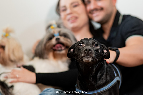 0024 - Carolina e Maurício - Pré-Wedding - DF5_4804