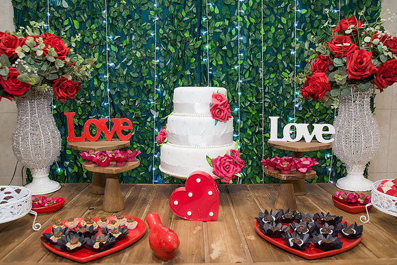 0263 - Thaila e Danilo - Casamento - DF2_8551