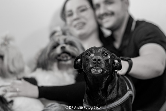 0025 - Carolina e Maurício - Pré-Wedding - DF5_4804