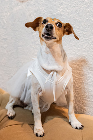 0027 - Simone e Gabriel - Casamento - DF3_8824