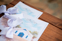 0009 - Elissa e César - Casamento - DF3_2117