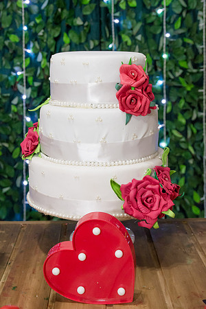 0265 - Thaila e Danilo - Casamento - DF2_8554